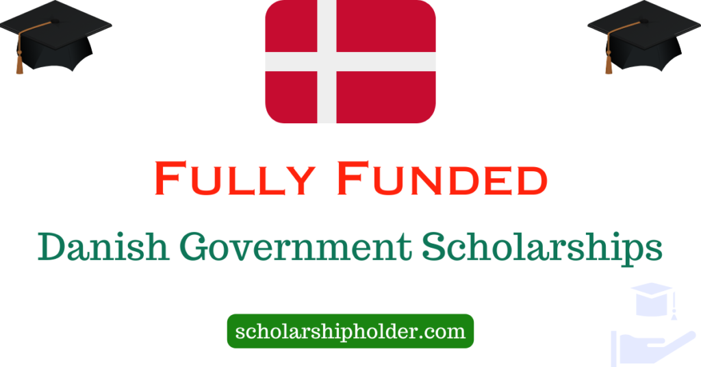 Danish Government Scholarships 2024 Fully Funded Scholarship Holder